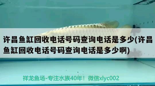 许昌鱼缸回收电话号码查询电话是多少(许昌鱼缸回收电话号码查询电话是多少啊) 广州观赏鱼批发市场