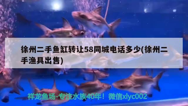 徐州二手鱼缸转让58同城电话多少(徐州二手渔具出售) 鱼粮鱼药