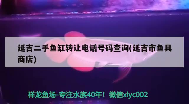 延吉二手鱼缸转让电话号码查询(延吉市鱼具商店) 水族品牌