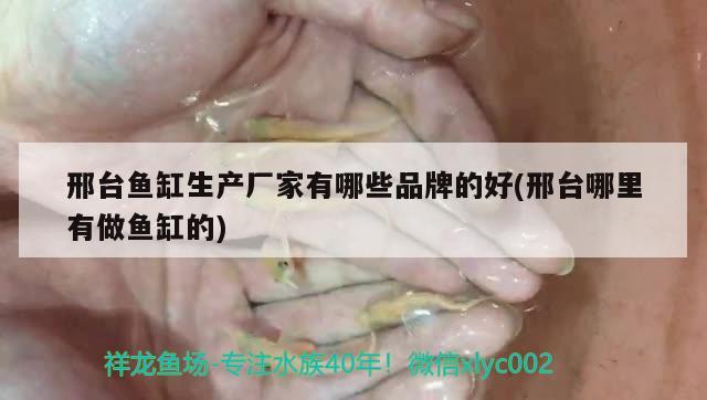 邢台鱼缸生产厂家有哪些品牌的好(邢台哪里有做鱼缸的) 二氧化碳设备