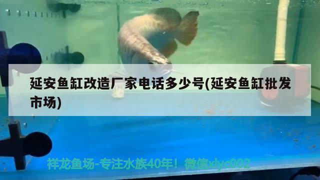 延安鱼缸改造厂家电话多少号(延安鱼缸批发市场) 三色锦鲤鱼