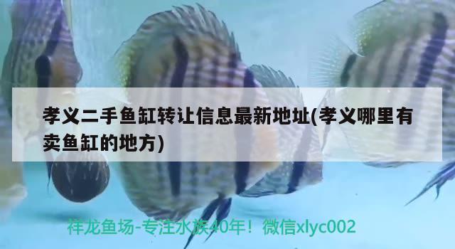 孝义二手鱼缸转让信息最新地址(孝义哪里有卖鱼缸的地方) 海水鱼（海水鱼批发）