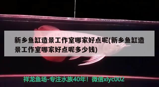 新乡鱼缸造景工作室哪家好点呢(新乡鱼缸造景工作室哪家好点呢多少钱) 其它水族用具设备