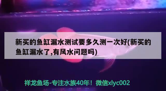 新买的鱼缸漏水测试要多久测一次好(新买的鱼缸漏水了,有风水问题吗) 鱼缸风水