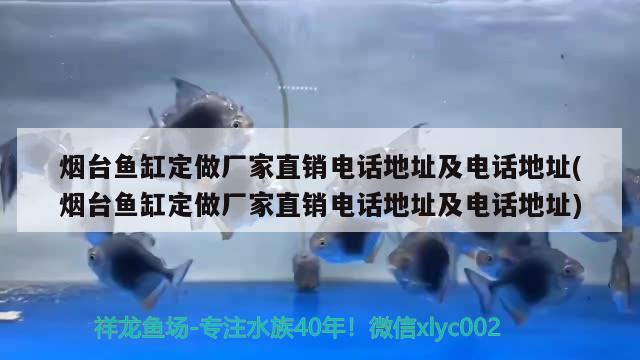 烟台鱼缸定做厂家直销电话地址及电话地址(烟台鱼缸定做厂家直销电话地址及电话地址) 水族杂谈