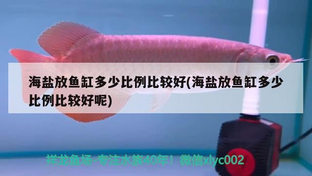 海盐放鱼缸多少比例比较好(海盐放鱼缸多少比例比较好呢)