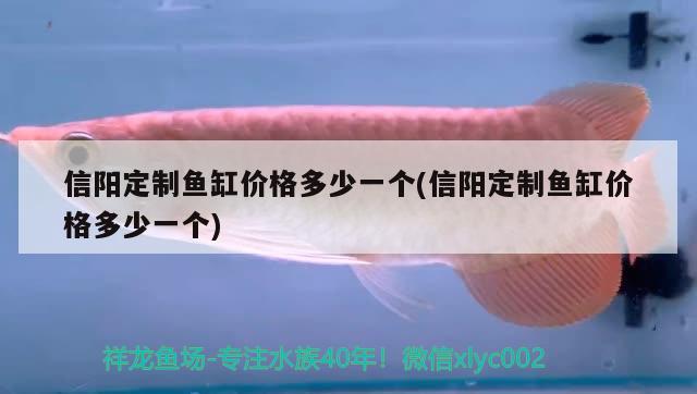 信阳定制鱼缸价格多少一个(信阳定制鱼缸价格多少一个) 一眉道人鱼苗