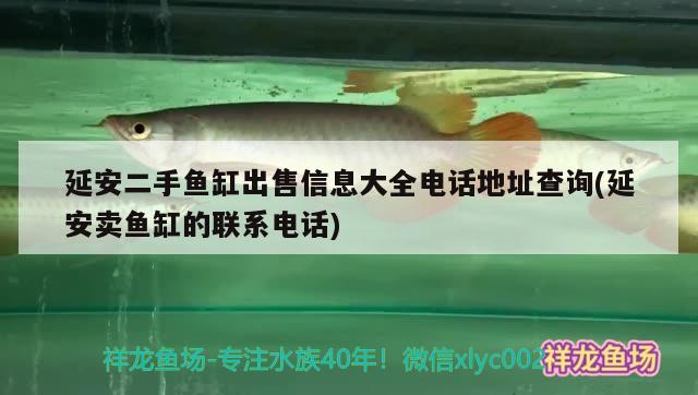 延安二手鱼缸出售信息大全电话地址查询(延安卖鱼缸的联系电话)