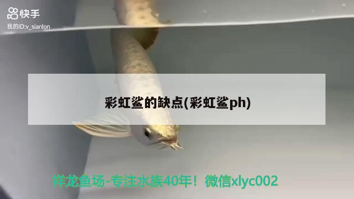 彩虹鲨的缺点(彩虹鲨ph)