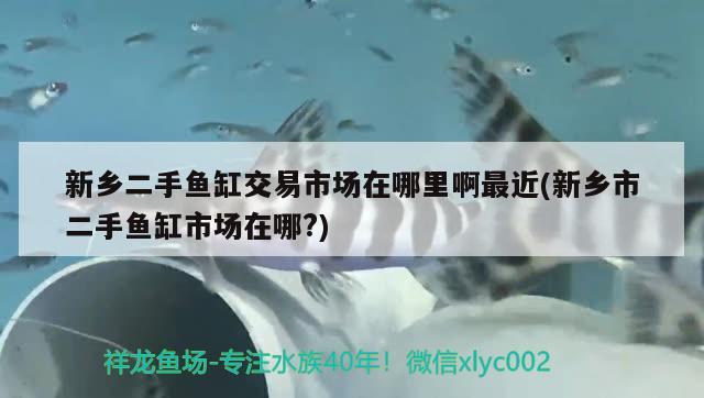 新乡二手鱼缸交易市场在哪里啊最近(新乡市二手鱼缸市场在哪?)