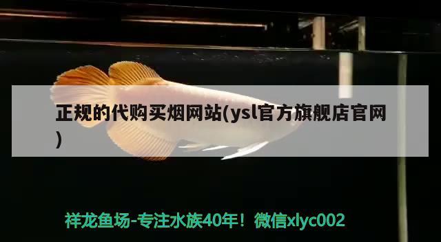 正规的代购买烟网站(ysl官方旗舰店官网)