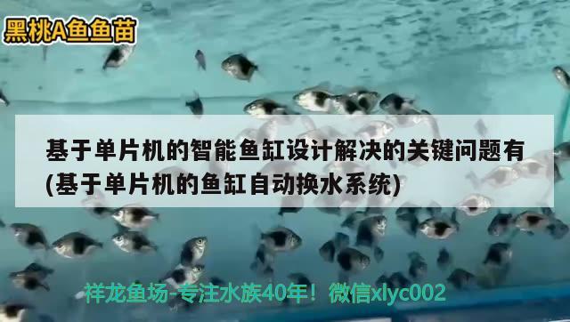 基于单片机的智能鱼缸设计解决的关键问题有(基于单片机的鱼缸自动换水系统)