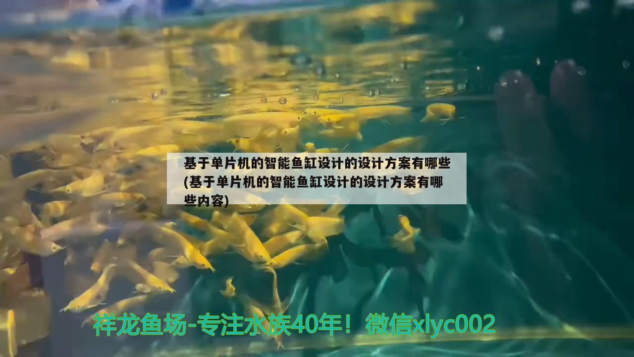 基于单片机的智能鱼缸设计的设计方案有哪些(基于单片机的智能鱼缸设计的设计方案有哪些内容)