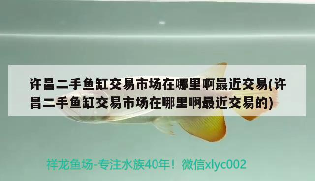 许昌二手鱼缸交易市场在哪里啊最近交易(许昌二手鱼缸交易市场在哪里啊最近交易的)