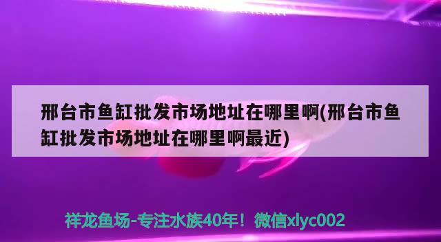 邢台市鱼缸批发市场地址在哪里啊(邢台市鱼缸批发市场地址在哪里啊最近)