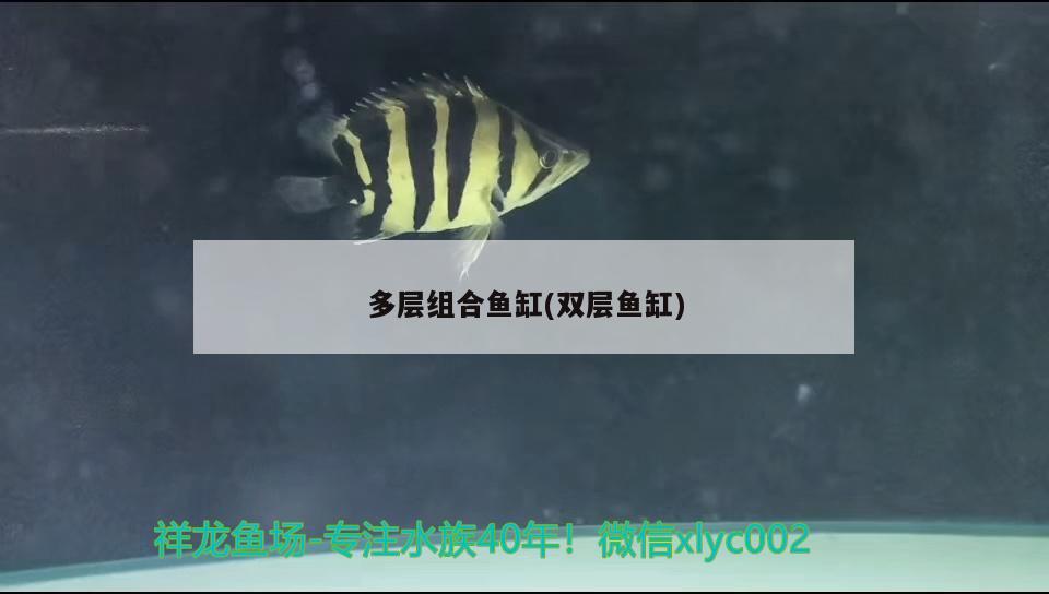 多层组合鱼缸(双层鱼缸) 鱼缸等水族设备