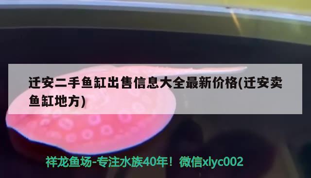 迁安二手鱼缸出售信息大全最新价格(迁安卖鱼缸地方)