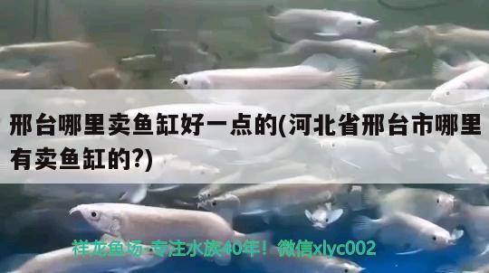 邢台哪里卖鱼缸好一点的(河北省邢台市哪里有卖鱼缸的?) 委内瑞拉奥里诺三间鱼苗