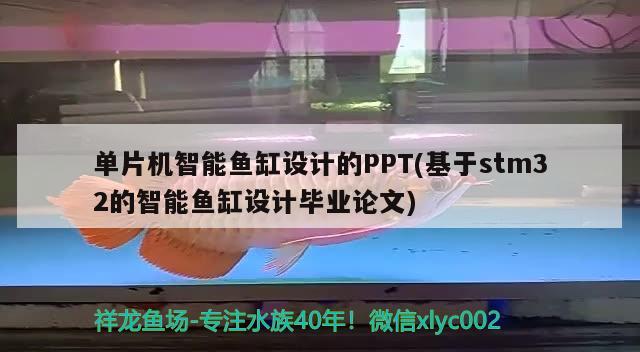 单片机智能鱼缸设计的PPT(基于stm32的智能鱼缸设计毕业论文) 胭脂孔雀龙鱼