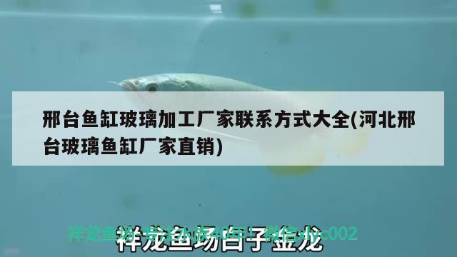 邢台鱼缸玻璃加工厂家联系方式大全(河北邢台玻璃鱼缸厂家直销) 鱼缸/水族箱