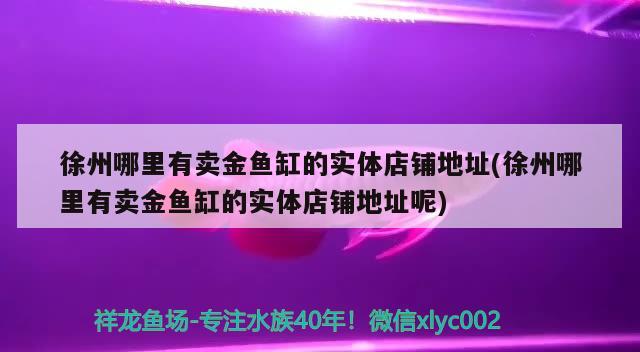 徐州哪里有卖金鱼缸的实体店铺地址(徐州哪里有卖金鱼缸的实体店铺地址呢) 广州水族批发市场