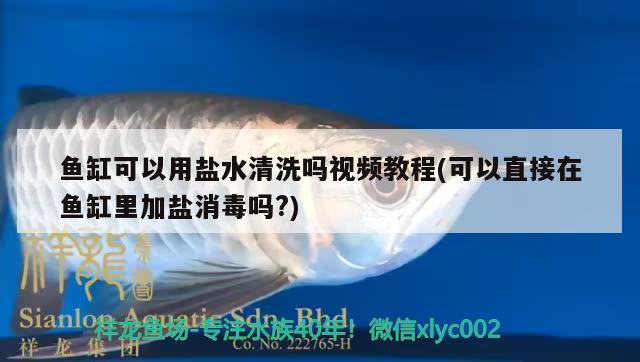 鱼缸可以用盐水清洗吗视频教程(可以直接在鱼缸里加盐消毒吗?) 龙鱼百科