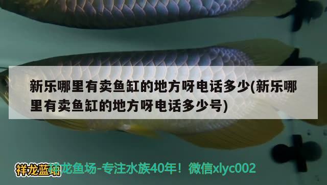 新乐哪里有卖鱼缸的地方呀电话多少(新乐哪里有卖鱼缸的地方呀电话多少号)