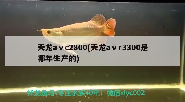 天龙aⅴc2800(天龙aⅴr3300是哪年生产的) 观赏鱼