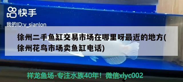 徐州二手鱼缸交易市场在哪里呀最近的地方(徐州花鸟市场卖鱼缸电话) 蓝帆三间鱼