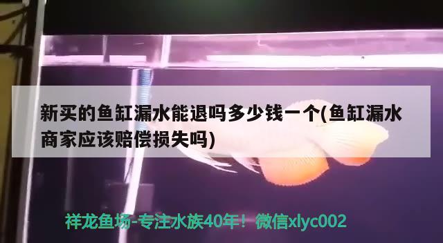 新买的鱼缸漏水能退吗多少钱一个(鱼缸漏水商家应该赔偿损失吗) 苏虎苗（苏门答腊虎鱼苗）