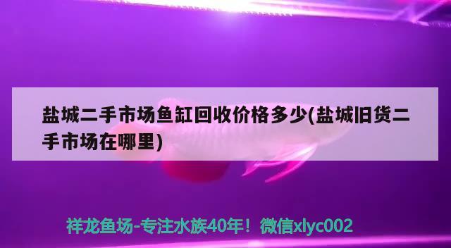 盐城二手市场鱼缸回收价格多少(盐城旧货二手市场在哪里)