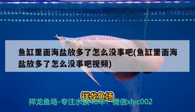 鱼缸里面海盐放多了怎么没事吧(鱼缸里面海盐放多了怎么没事吧视频)