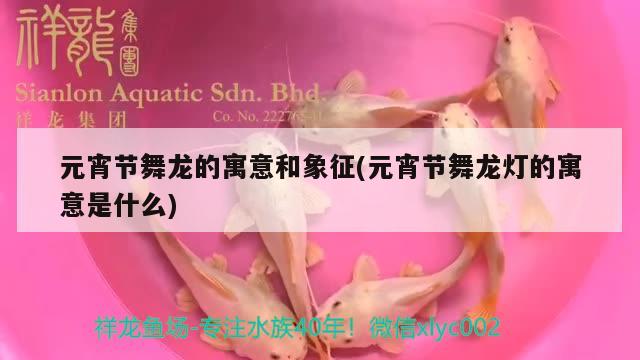 元宵节舞龙的寓意和象征(元宵节舞龙灯的寓意是什么)