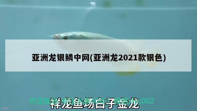 亚洲龙银鳞中网(亚洲龙2021款银色)