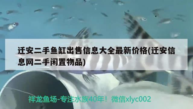 迁安二手鱼缸出售信息大全最新价格(迁安信息网二手闲置物品) 赛级红龙鱼