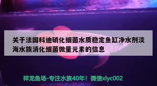 关于法国科迪硝化细菌水质稳定鱼缸净水剂淡海水族消化细菌微量元素的信息 硝化细菌