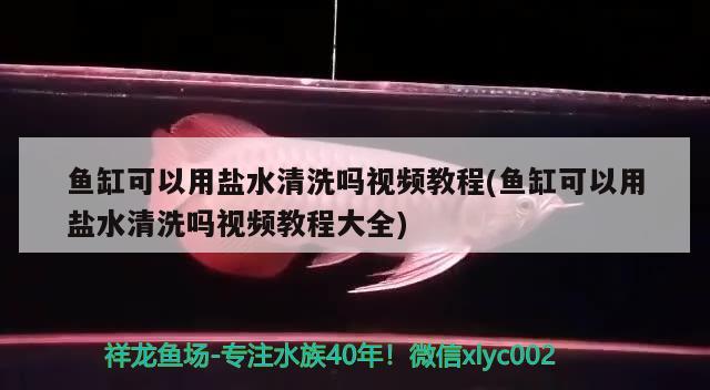 鱼缸可以用盐水清洗吗视频教程(鱼缸可以用盐水清洗吗视频教程大全)