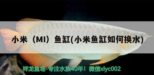 小米（MI）鱼缸(小米鱼缸如何换水) 其他品牌鱼缸