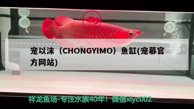 宠以沫（CHONGYIMO）鱼缸(宠慕官方网站)