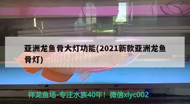 亚洲龙鱼骨大灯功能(2021新款亚洲龙鱼骨灯)