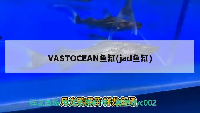 VASTOCEAN鱼缸(jad鱼缸)