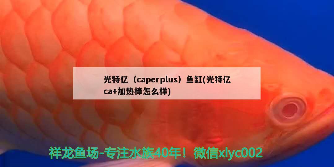 光特亿（caperplus）鱼缸(光特亿ca+加热棒怎么样)