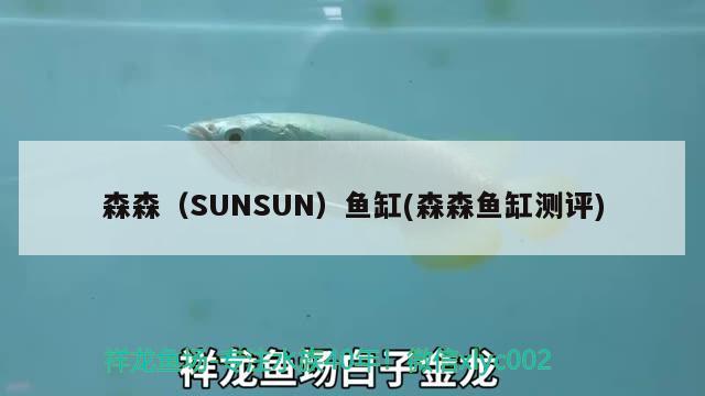 森森（SUNSUN）鱼缸(森森鱼缸测评) 其他品牌鱼缸