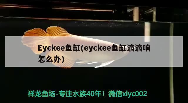 Eyckee鱼缸(eyckee鱼缸滴滴响怎么办)