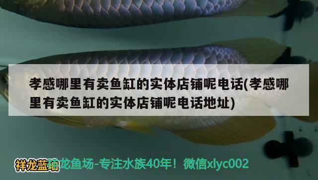 孝感哪里有卖鱼缸的实体店铺呢电话(孝感哪里有卖鱼缸的实体店铺呢电话地址)