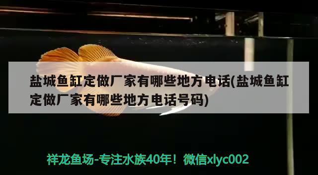 盐城鱼缸定做厂家有哪些地方电话(盐城鱼缸定做厂家有哪些地方电话号码) 水族杂谈