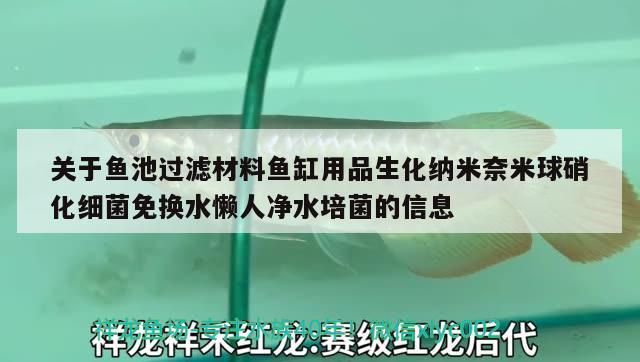 关于鱼池过滤材料鱼缸用品生化纳米奈米球硝化细菌免换水懒人净水培菌的信息