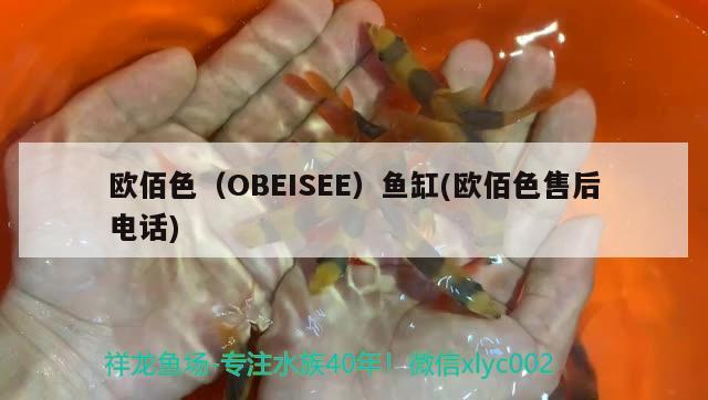 欧佰色（OBEISEE）鱼缸(欧佰色售后电话) 其他品牌鱼缸