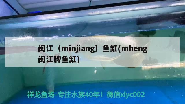 闽江（minjiang）鱼缸(mheng闽江牌鱼缸) 其他品牌鱼缸