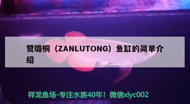 赞璐桐（ZANLUTONG）鱼缸的简单介绍 其他品牌鱼缸